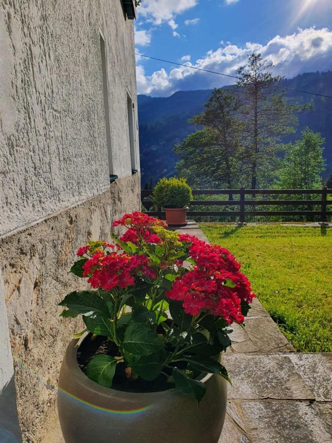 Pension Gut Trogern Bad Eisenkappel Exterior photo